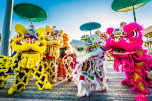 live concert photography miami