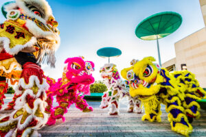 live concert photography miami