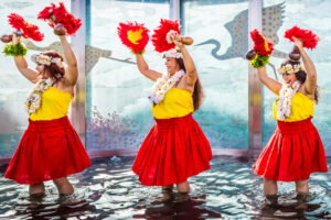 incentive trip photography miami