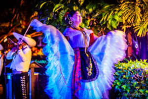 live concert photography miami